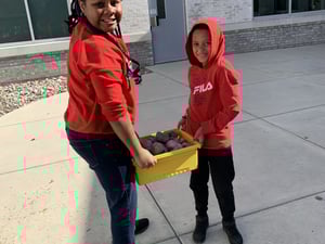 Students working to create a new rock garden
